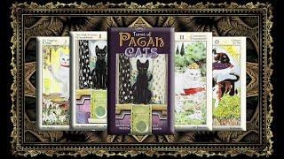 Обзор Таро Языческих Кошек ( Tarot Pagan Cats )