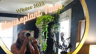 Houseplant Tour Winter 2022| Rare Plants & Common Plants