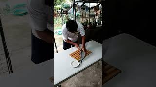 Indoor cooking part 1 #fypyoutube #lipadblogtv #food #indoorcooking #fish #foodie #cookingathome