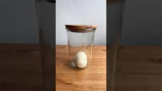 How to Create Pasta Madre #sourdough#bread#homemade#homebaker#italian#asmr#timelapse#shorts#recipe