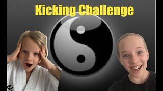 How much Kicks can you do without falling Challenge!