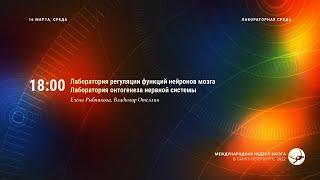 Лабораторная среда: Лаб. регуляции функций нейронов мозга и лаб. онтогенеза нервной системы / НМ22