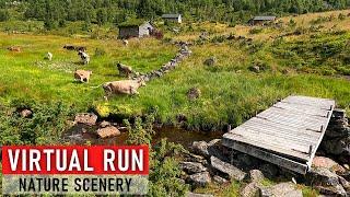 Virtual Run | Lovely Trailrunning Workout | Nature Scenery in Norway