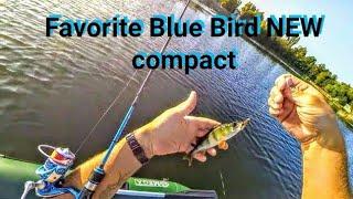 Favorite Blue Bird NEW Compact