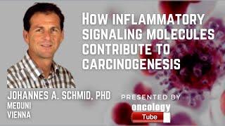 How Inflammatory Signaling Molecules Contribute To Carcinogenesis