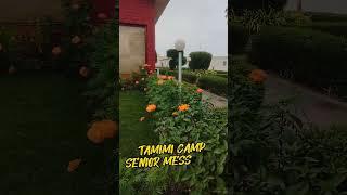 TAMIMI CAMP JUBAIL #shorts