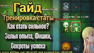  • Гайд Тренировка Статы | Как стать сильнее ? Зелья опыта, Фишки, Секреты успеха | Rucoy Online