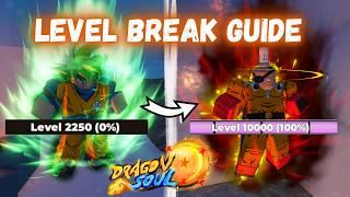 How To Level Break *Fast* | Roblox Dragon Soul