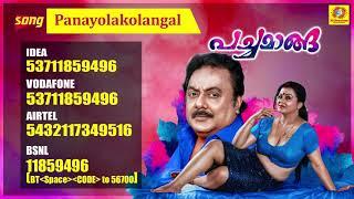 Panayolakolangal | Pachamanga Malayalam Movie Callertune | Prathap Pothan | Sona