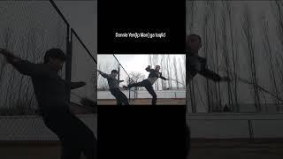 imitation of Donnie Yen Part 4