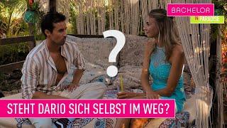 Team Yve oder Team Dario? I Bachelor In Paradise