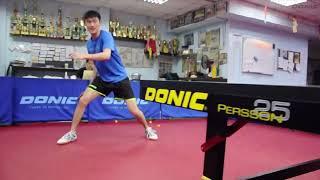 Donic Persson 25 Table Tennis Table