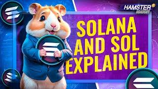 How Solana Works: A Beginner’s Guide ️ Hamster Academy