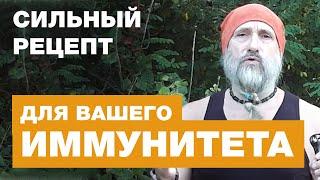 Сильное Укрепление Иммунитета - Рецепт