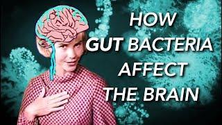 How the Gut Microbiome affects the Brain and Mind