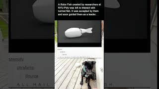 A Robo Fish as a leader #Junior-memes #funny