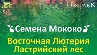 LOSTARK. Сбор семян Мококо. #22 Восточная Лютерия. Ластрийский лес. Гробница Лютерана.