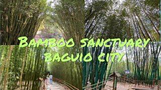 Bamboo sanctuary  Pacdal Liteng  Baguio City