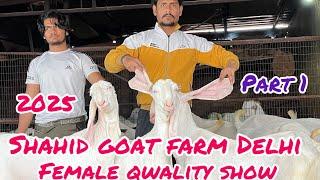Female qwality show || at shahid goat farm Delhi #season #2025 #part1 #india #delhi #goatfarm