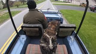 Jeep and Doggo! “mans best friends”