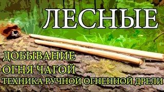 Добывание огня чагой - Техника ручной огненной дрели | Starting a Fire with Chaga - Hand Drill