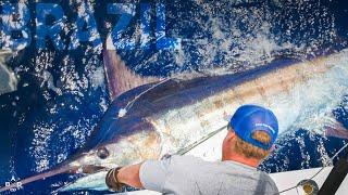 Brazilian Blue Marlin with Bad Company - Part One