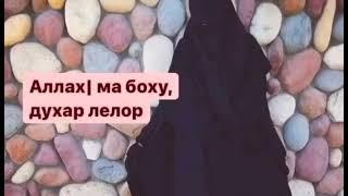 Хьехам. Аллах1 ма бох духар лел дар