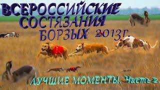 ВСЕРОССИЙСКИЕ СОСТЯЗАНИЯ БОРЗЫХ 2013г  ЛУЧШИЕ МОМЕНТЫ  ЧАСТЬ 2