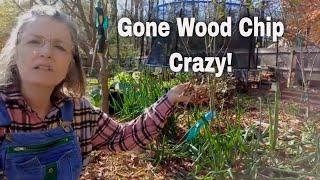 How Will She Use 7 Feet Of Free Wood Chips? #urbangardening