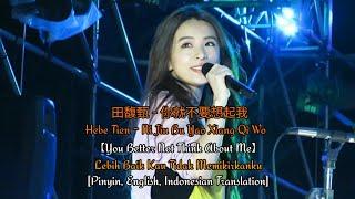 田馥甄 - 你就不要想起我 Hebe Tien - Ni Jiu Bu Yao Xiang Qi Wo | Lyrics Pinyin, English, Indonesian Translation