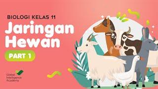 BIOLOGI Kelas 11 - Jaringan Hewan (Part 1) | GIA Academy