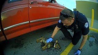 Top 10 Amazing Cops Rescues | Real life heroes