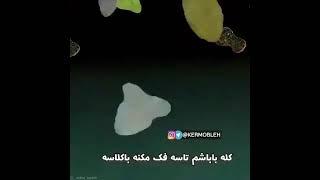 دیس به ممدا