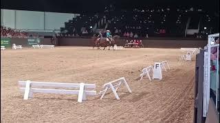 Western meets Classic, Gewinner beim Showcup der Uelzener Versicherung auf der Equitana