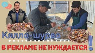 Пробовали разные блюда узбекской кухни? Такое только в Кашкадарье | Кялла-шурва - мечта мясоеда