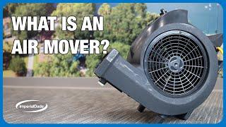 Air Movers Explained: What They Do & How to Use Them for Fast Drying