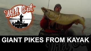 Giant pike (pikes) from kayak