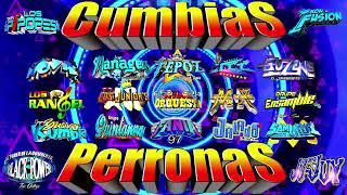 LOS MEJORES CUMBIAS SONIDERAS DEL 2024 MIX CUMBIAS PARA BAILARPURAS CUMBIAS PERRONAS 2024