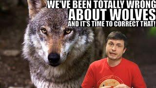 We Were Wrong About Wolves and Wolf Packs This Whole Time