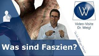 Jetzt ist die Zeit der Faszie  Was sind Faszien & welche Aufgaben hat das Fasziengewebe? #1