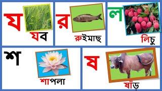 ব্যঞ্জনবর্ণ (য র ল শ ষ) দিয়ে শব্দ গঠন  Class No-13 part-6 || SI Kids Zone