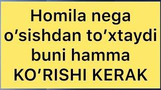 Homila nega o’sishdan to’xtaydi? Sabablari va uni davolash