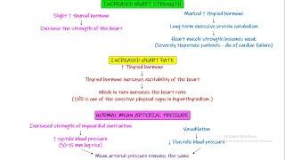 Effect of Thyroid hormone on heart, lungs, GIT, CNS. Chapter 77 part 6. Guyton and Hall Physiology.