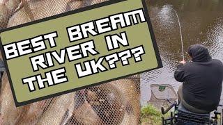 Catching River Bream - Feeder Fishing Tactics  - MEGA Fishing