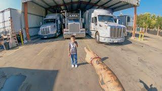 I Took My Son on his First Trucking Adventure in My Boss’s Peterbilt 389