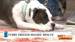 ND Today: Furry Friends