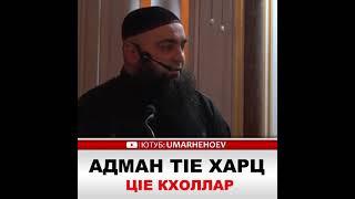 УМАР ХЕХОЕВ АДМАН Т1Е ХАРЦ Ц1Е КХОЛЛАР ХЬЕХАМ