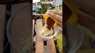 Roasted Haldi Face Pack for Glowing Skin – Instant Result #shorts #trending #viralvideo #youtube