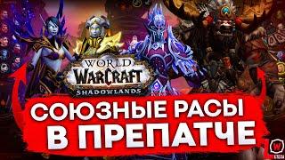 КАК ОТРЫТЬ СОЮЗНЫЕ РАСЫ В ПРЕПАТЧЕ SHADOWLANDS world of warcraft 9.0.1