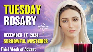 Tuesday Rosary  Sorrowful Mysteries of the Rosary  December 17, 2024 VIRTUAL ROSARY